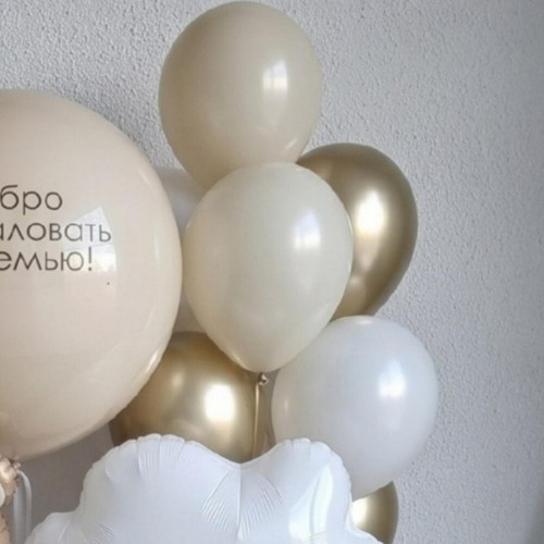 Шары на выписку из роддома "Добро пожаловать"