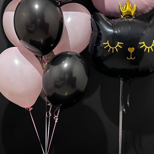 Шары для девушки "Кошечки"